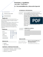 Curriculum Vitae