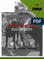 Informe Mensual Camya Julio 2021