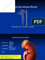 Fisiologia Renal 1228525232975867 8