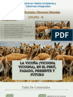 (G08) La Vicuña