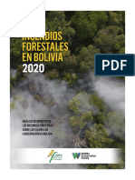 Incendios Forestales 2020