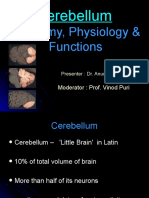 Cerebellum Seminar