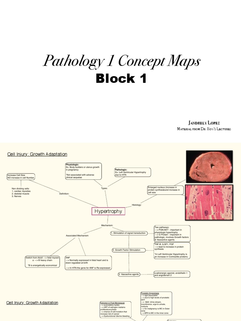 Path Concept Maps | PDF | Necrosis | Epithelium
