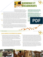 Bioenergie Et Biocarburants: Le Saviez-Vous?