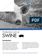 Animalclass Swine FINAL