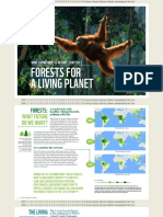 Living Forests Chapter 1 26-4-11
