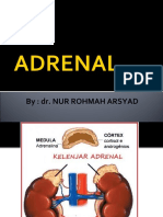 Adrenal Pankreas Tiroid 2