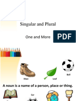 Singular and Plural Nouns