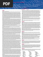 Constituiçaõ Americana