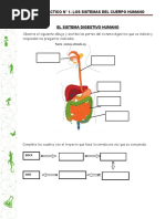 Trabajo Practico #1 Sistemas Del Cuerpo Humano