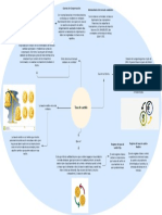 Mapa Mental Tasa de Cambio