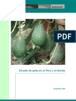 Estudio Produccion de Palta