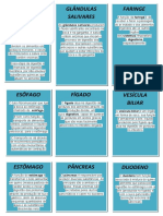 Orgãos Do Sistema Digestório