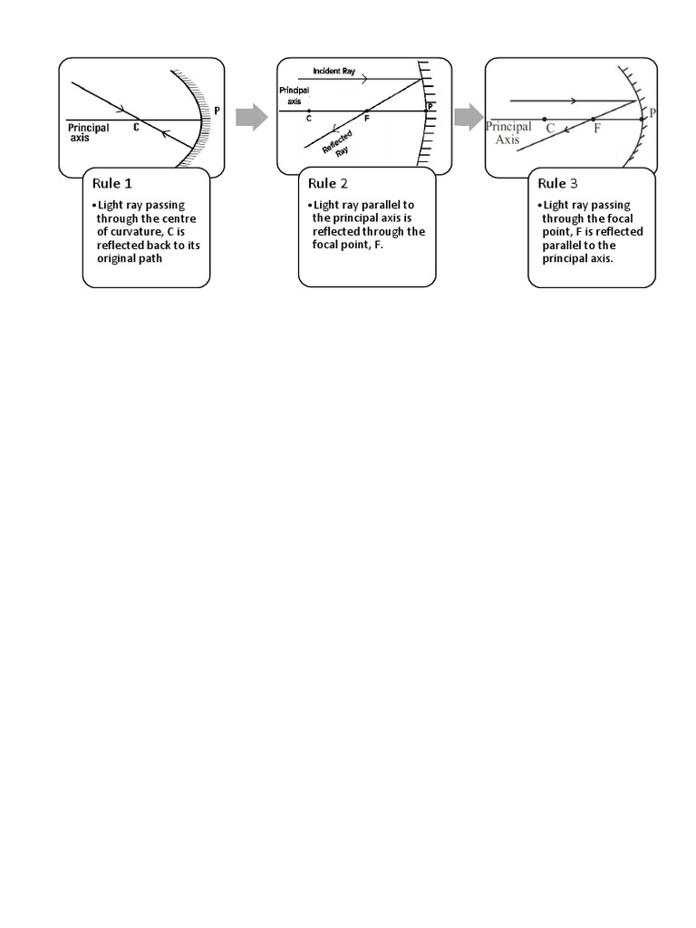 Mind Map PDF Habitat Humidity
