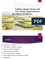 Wetlands and Climate Change Threats and Opportunities For Carbon Sequestration in Wetlands