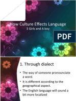 How Culture Effects Language