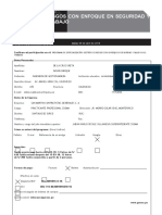 Ficha Seguridad 2018