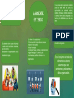 Organizador Gráfico