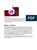 Mitosis vs Meiosis: Key Differences