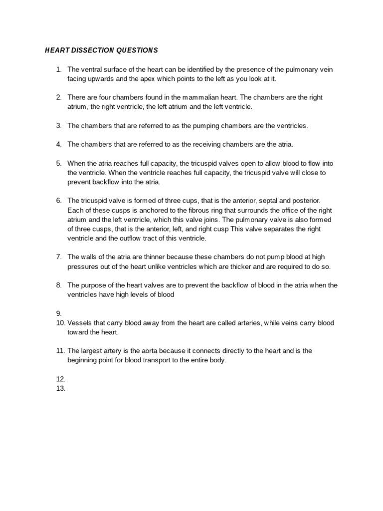 Heart Dissection Questions PDF