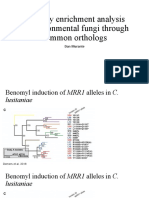 Pathway Enrichment Analysis of Environmental Fungi Through Common Orthologs