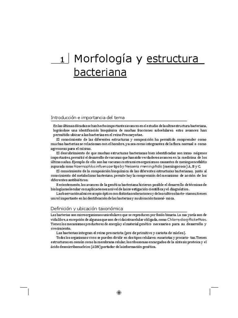 Morfología y Estructura Bacteriana | PDF | Las bacterias | Biología ...