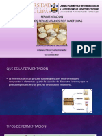 Fermentacionporbacterias 171024160634