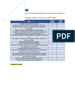 Informe de Carga Puntual Pauta