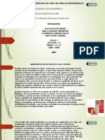 Caso Rosatel - Grupo 4 PDF