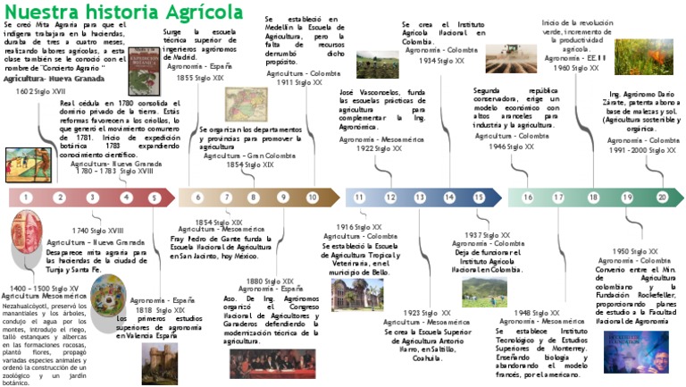 Línea de Tiempo | PDF | Agricultura | Agronomía