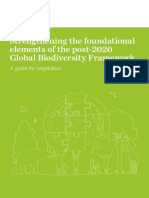 Strengthening The Foundational Elements of The Post-2020 Global Biodiversity Framework