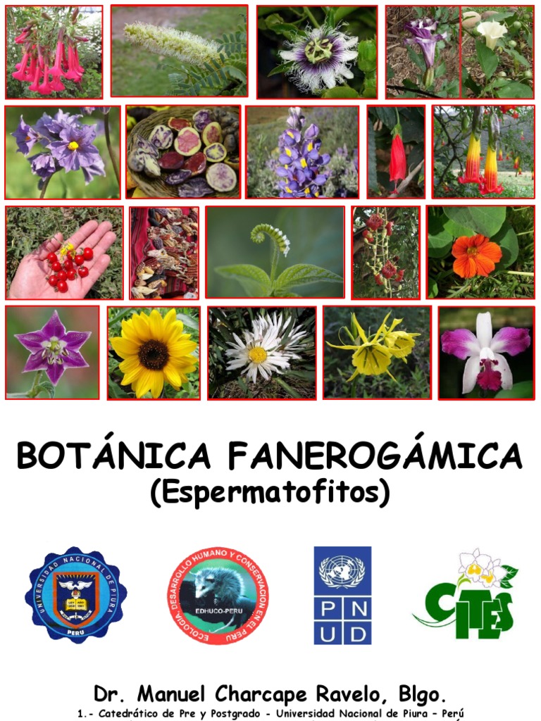 001 Introduccion Botanica Fanerogamica 2019 | PDF | Plantas | Taxonomía ...