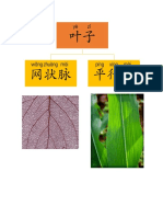 科学一年 docx