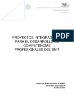 Proyectos Integradores Toluca