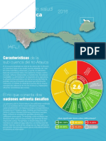 Reporte de Salud Rio Arauca 2016