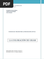 Download PRACTICA 3 La Coloracion de Gram by Dr David Larretegui Romero SN51627228 doc pdf