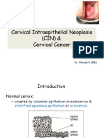 Cervical Intraepithelial Neoplasia (CIN) & Cervical Cancer: Dr. Fekadu R (MD)