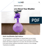 Bladder Problems Myths, Facts, Leaks, Incontinence, & More