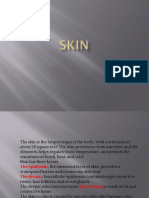 SKIN Powerpoint