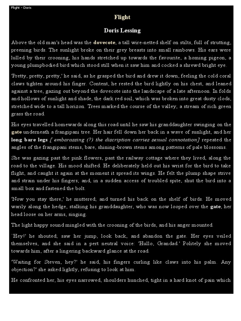 Flight: A Story of Loss and Change | PDF | Symbols | Nature