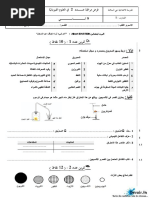 Cartes Mentales Printemps Cp Pdf