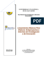 Lineamientos de Investigacin 2011