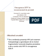 Oncogeneza HPV În Adenocarcinomul de Prostată