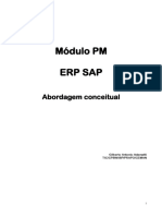 Manual_Usuario_SAP_PM2