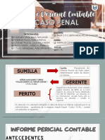 Informe Pericial Contable Caso Penal Grupo Cuatro PDF