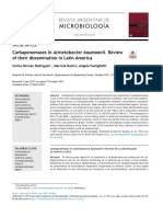 Carbapenemasas en Acinetobacter baumannii  Review de su diseminación en latín America