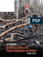 Relatorio Violencia Contra Os Povos Indigenas Brasil 2019 Cimi