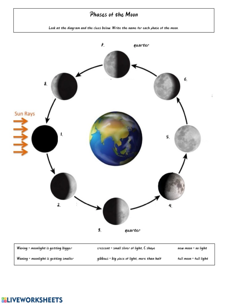 Moonphasesworksheet | PDF