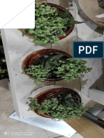 Ideas 2021 Decoracion Con Plantas-Vivero Rubi y Otro