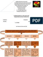 Comportamiento y Organización